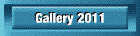 gallery11.gif (1432 bytes)